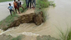 राजपुर दौलतपुर तटबन्ध टूटा सैकड़ों एकड़ फसले जलमग्न