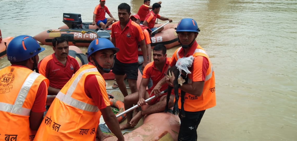 बाढ़ आपदा नियंत्रण अभ्यास में सशस्त्र सीमा बल के जवानो ने दिखाएं अपना गौरव 